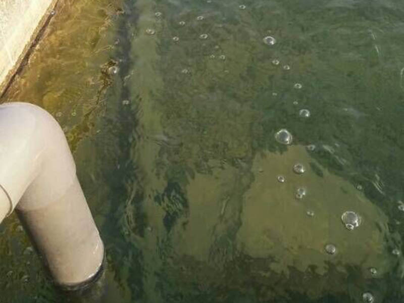 泰安市污水處理順利進(jìn)行