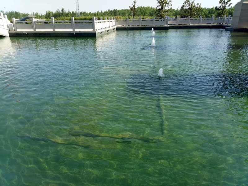 濟(jì)寧藝水芳源魚池過濾器客戶實(shí)地效果展示